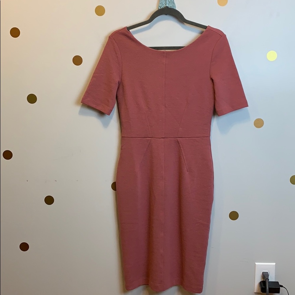 NWT rose ribbed shift dress